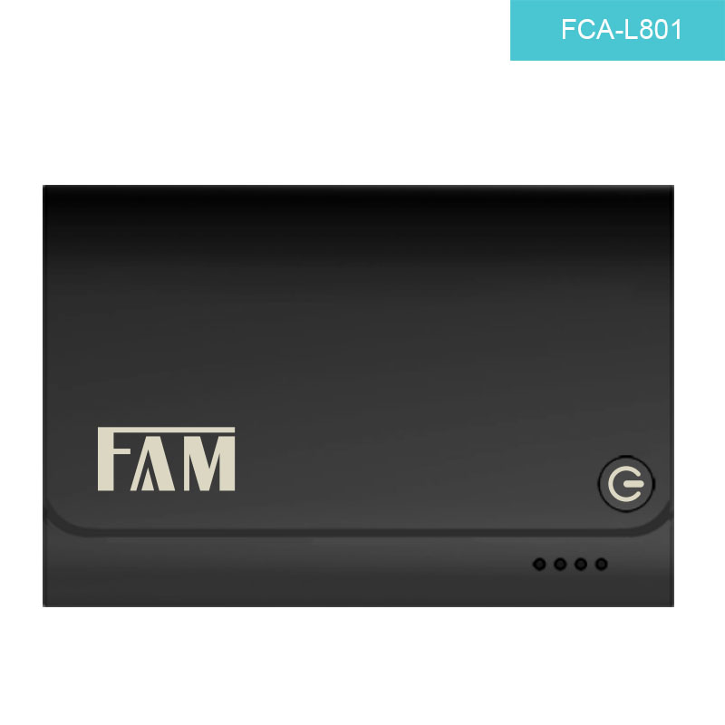 FCA-L801  POWER BANK 8000MAH